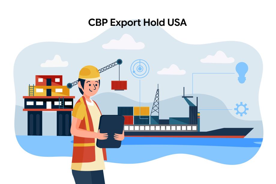CBP export hold USA – export cargo delayed during CBP inspection and compliance checks